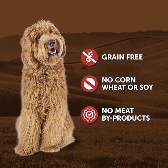 4health Grain Free Adult Beef and Vegetable Stew Wet Dog Food, 13.2 oz.