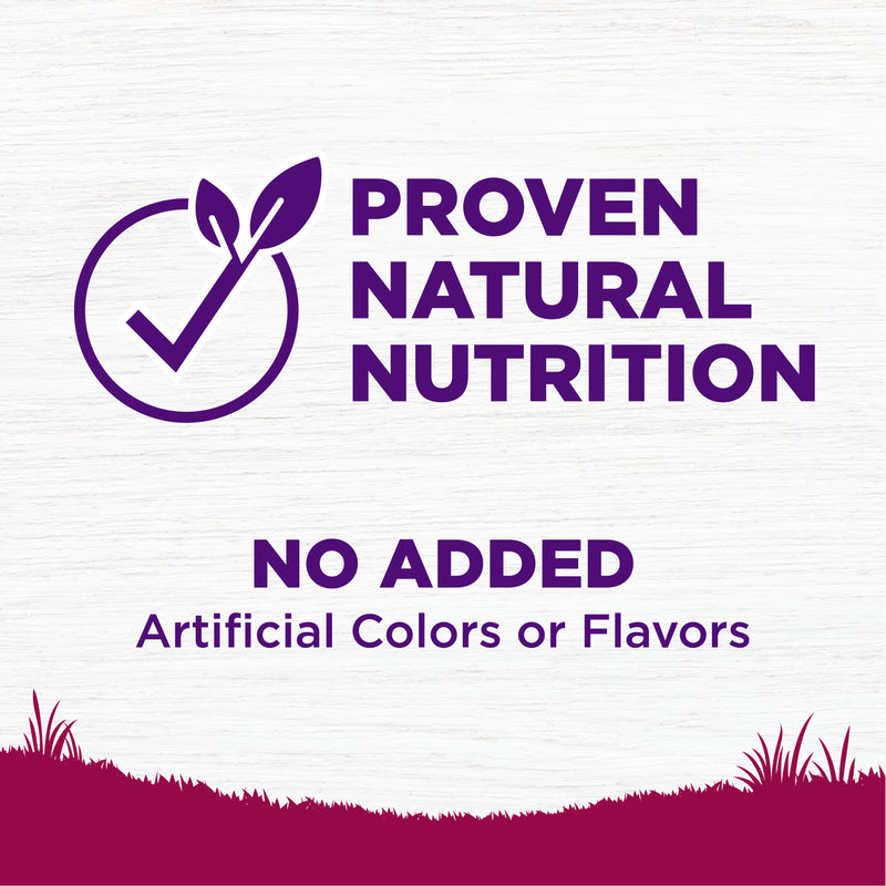 Wellness Complete Health Dry Dog Food, Small Breed, Wholesome Grains, Natural, Healthy Weight Turkey & Brown Rice Recipe, (4-Pound Bag)