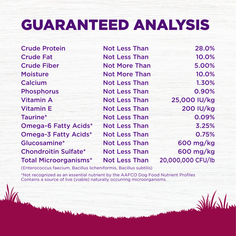 Wellness Complete Health Dry Dog Food, Small Breed, Wholesome Grains, Natural, Healthy Weight Turkey & Brown Rice Recipe, (4-Pound Bag)