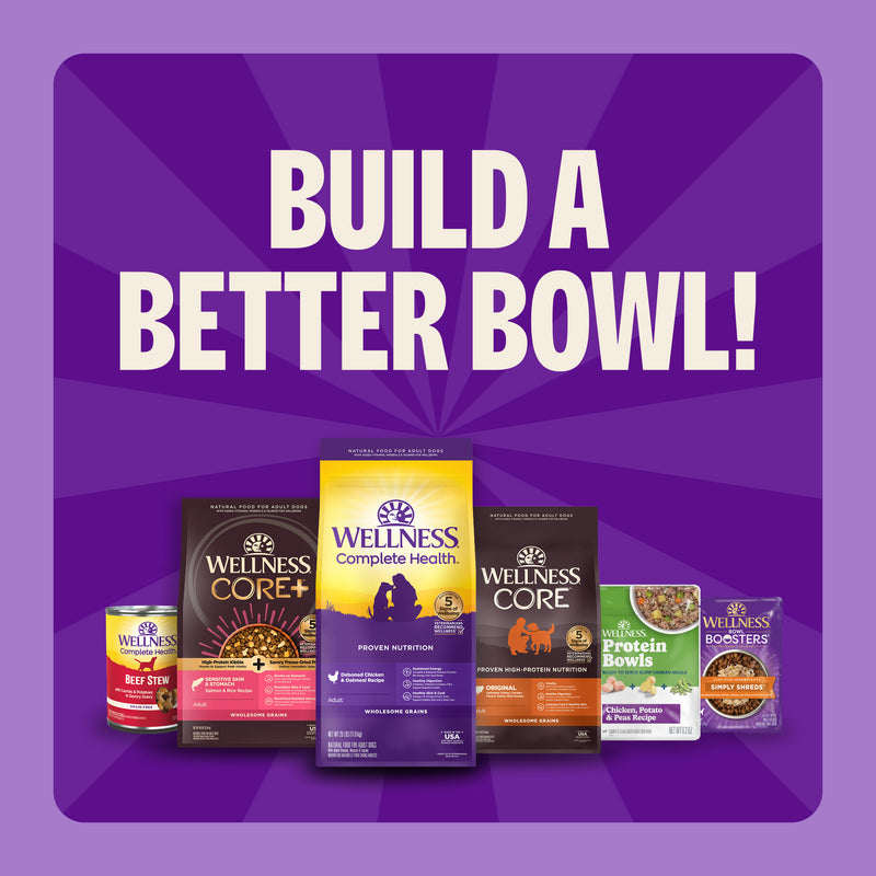 Wellness Complete Health Dry Dog Food, Small Breed, Wholesome Grains, Natural, Healthy Weight Turkey & Brown Rice Recipe, (4-Pound Bag)