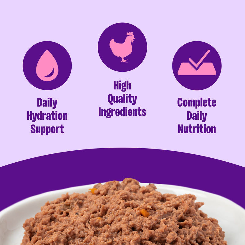 Wellness Complete Health Pate Adult Wet Cat Food, Protein-Rich, Grain-Free, 3 Ounce  (Chicken & Herring)