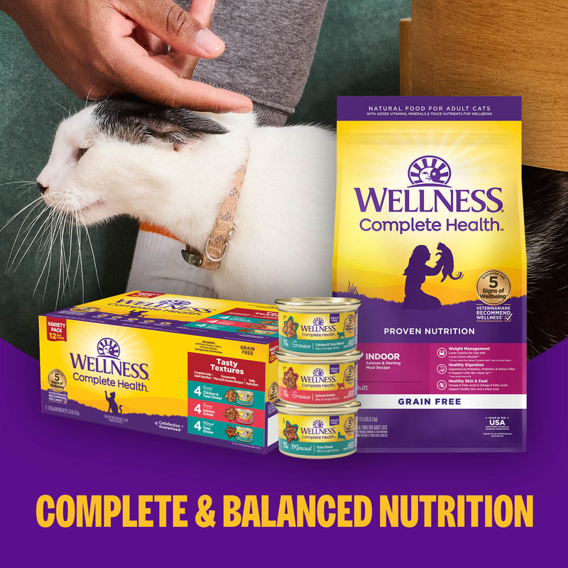 Wellness Complete Health Pate Adult Wet Cat Food, Protein-Rich, Grain-Free, 3 Ounce  (Chicken & Herring)