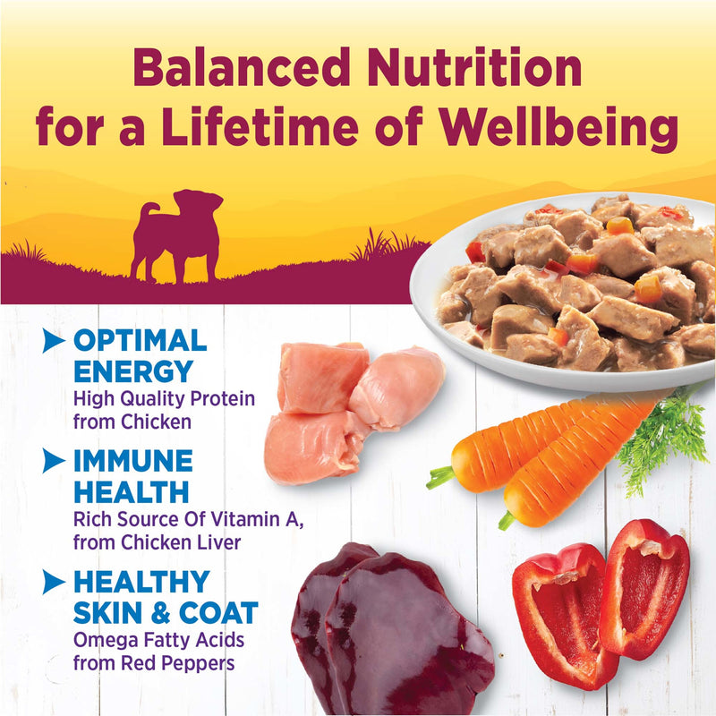 Wellness Petite Entrées Mini-Filets With Roasted Chicken, Carrots & Red Peppers in Gravy, 3-Ounce Cup