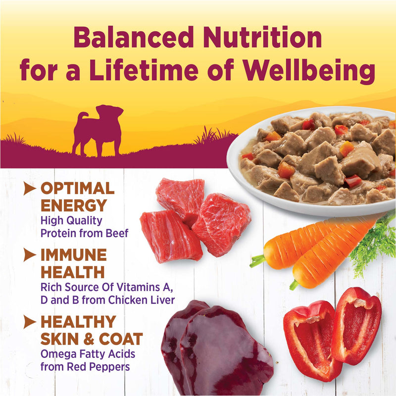 Wellness Petite Entrées Mini-Filets With Roasted Beef, Carrots & Red Peppers in Gravy, 3-Ounce Cup