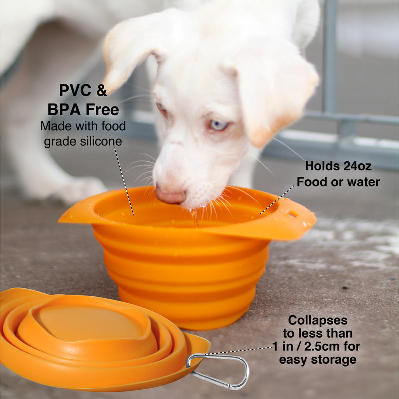 Kurgo Collaps-A-Bowl for Dogs