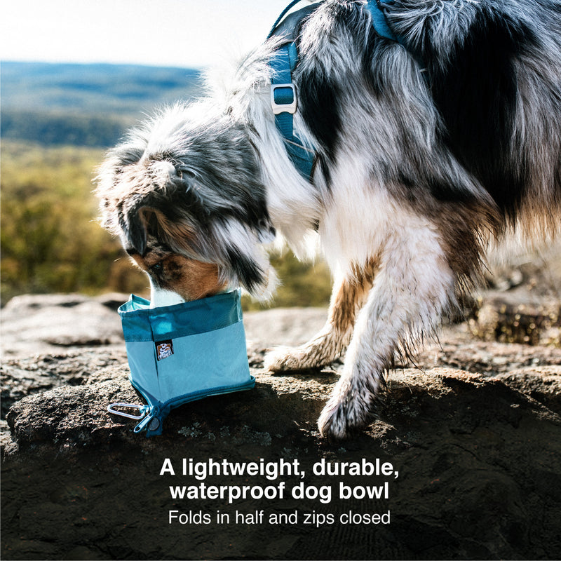 Kurgo Zippy Bowl for Dogs - Blue