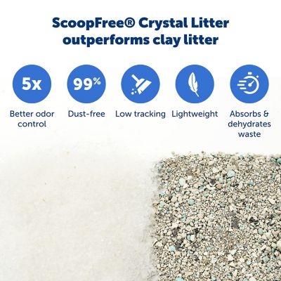 PetSafe Scoop-Free Disposable Crystal Cat Litter Tray, Sensitive, 1 ct.