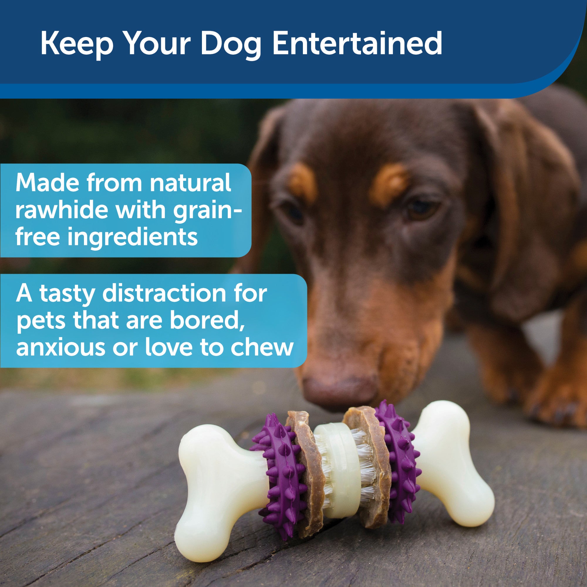 PetSafe Busy Buddy Bristle Bone Dog Toy, Extra Small – Petsense