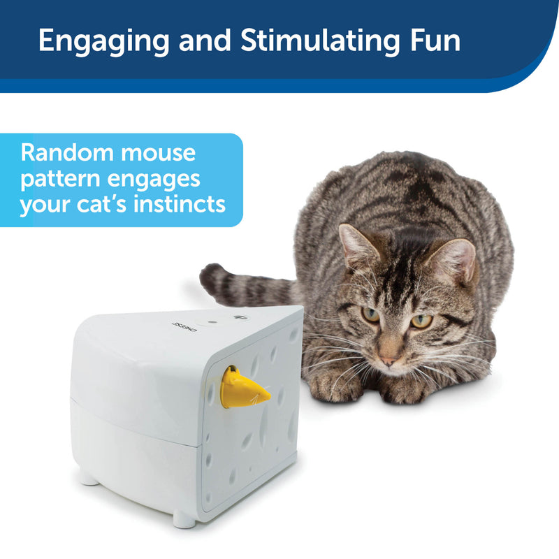 PetSafe® Cheese Automatic Cat Toy