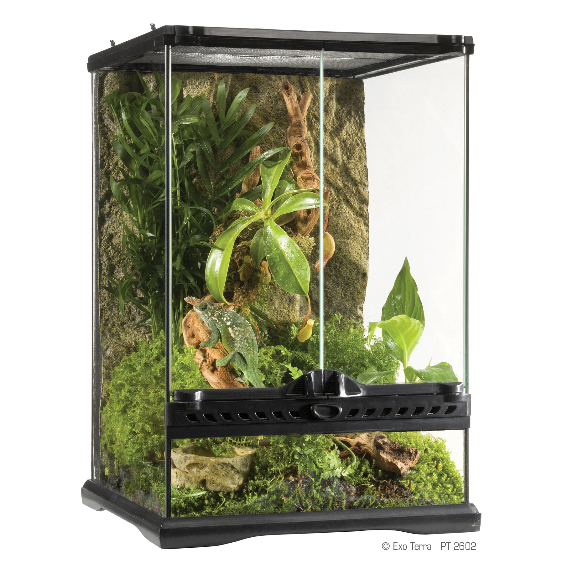 Exo Terra Glass Terrarium 12