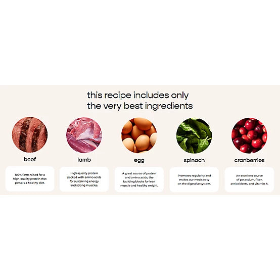 Freshpet Vital, Fresh Dog Food, Grain Free Beef & Lamb Recipe, 5.5 lbs.