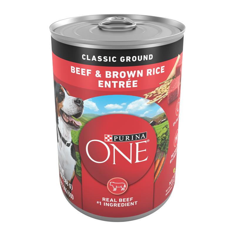 Purina ONE Classic Ground Beef and Brown Rice Entree Adult Wet Dog Food