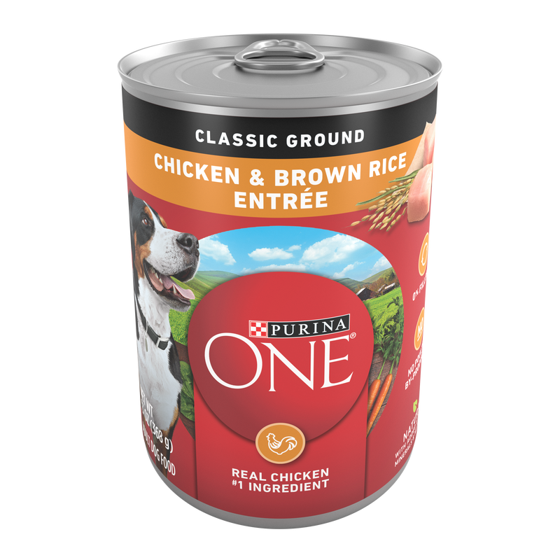 Purina ONE Classic Ground Chicken and Brown Rice Entree Adult Wet Dog Food