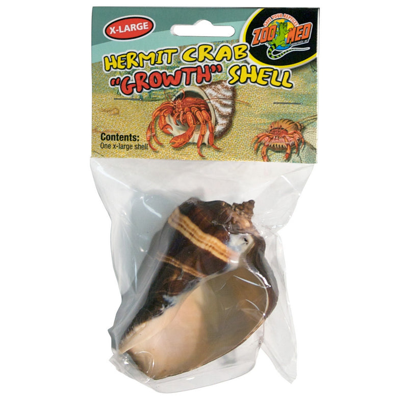 Zoo Med Hermit Crab Growth Shells - 1 Pack Extra Large