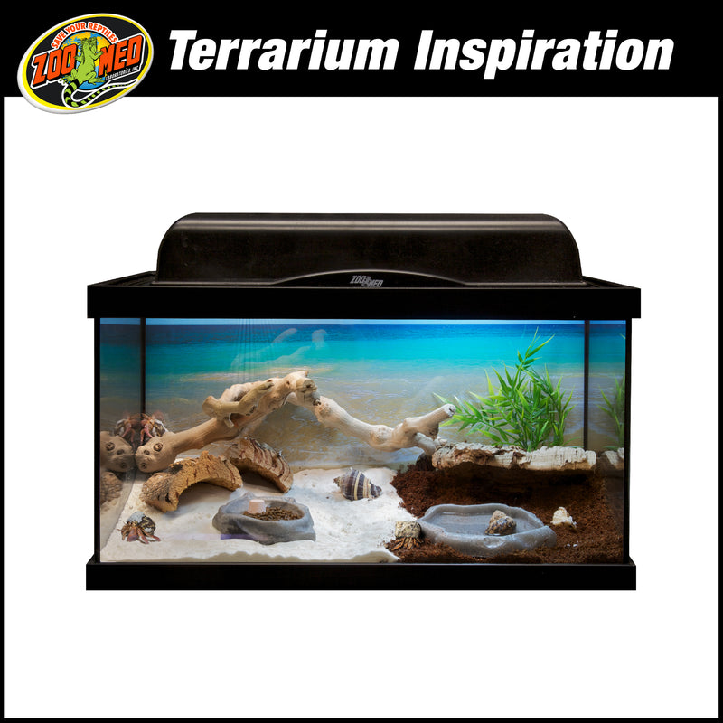 Zoo Med Hermit Crab Growth Shell Medium (2 Zoo Med Hermit Crab Growth Shell Medium (2
