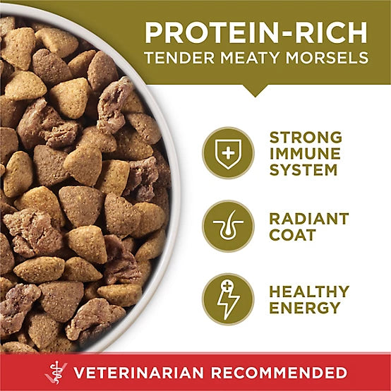 Purina ONE Adult Lamb and Rice Recipe Natural Dry Dog Food, 40lb