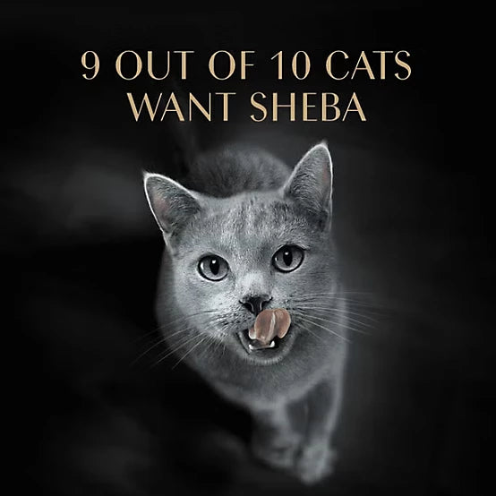 Sheba Perfect Portions All Life Stages Tuna/Salmon Cuts in Gravy Wet Cat Food Pack, 2.6 oz., Pack of 12 Twin-Pack Trays