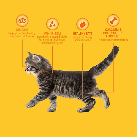 Paws & Claws Kitten Indoor/Outdoor Mix Chicken Formula Dry Cat Food, 15lb