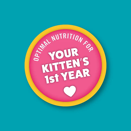 Paws & Claws Kitten Indoor/Outdoor Mix Chicken Formula Dry Cat Food, 15lb