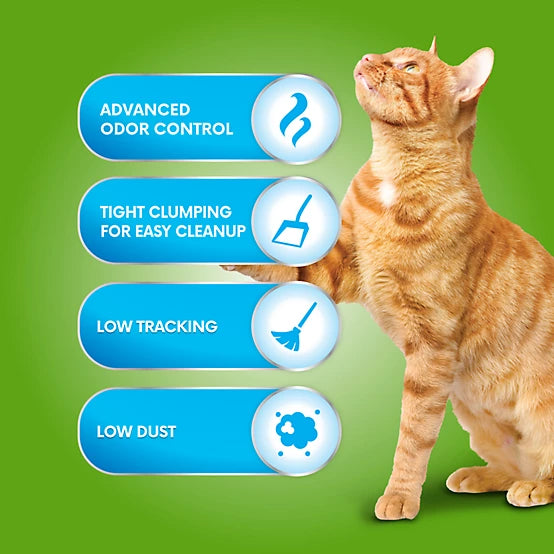 Paws & Claws Clump-N-Scoop Unscented Clumping Clay Cat Litter, 35lb