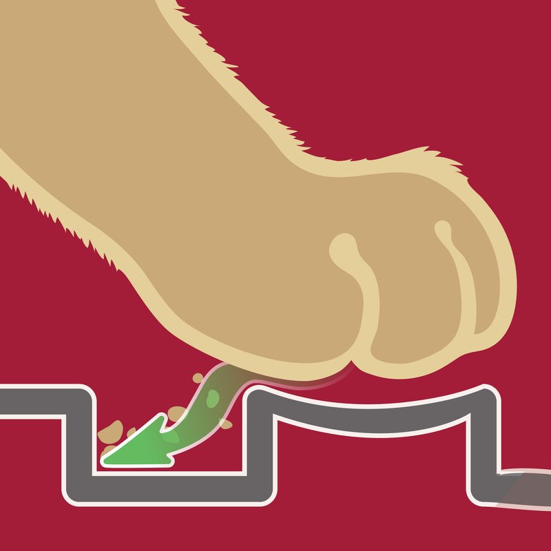 Petlinks Purr-fect Paws Multipurpose Cat Litter Mat - Large, Gray