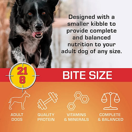 Sportmix 21/8 Performance Bite Size Adult Meat Meal Recipe Dry Dog Food, 40 lb. Bag
