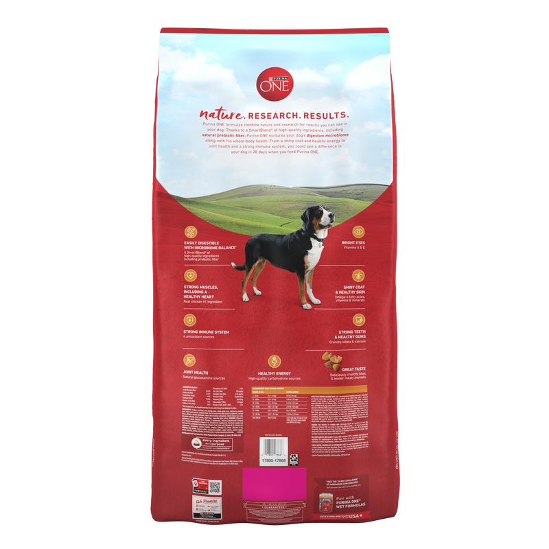 Purina ONE Chicken and Rice Formula Dry Dog Food