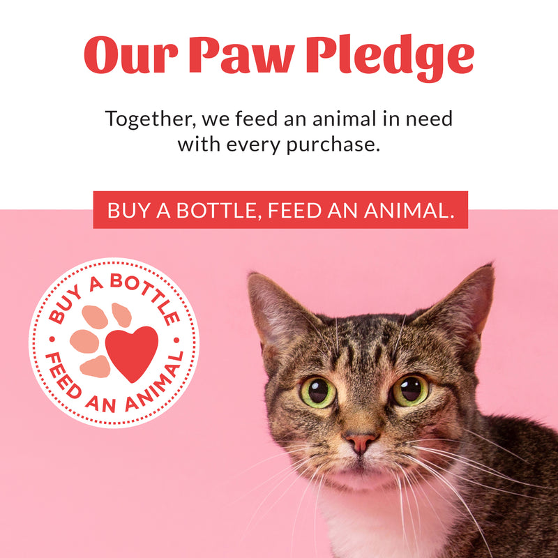 Skout's Honor Urine & Odor Destroyer