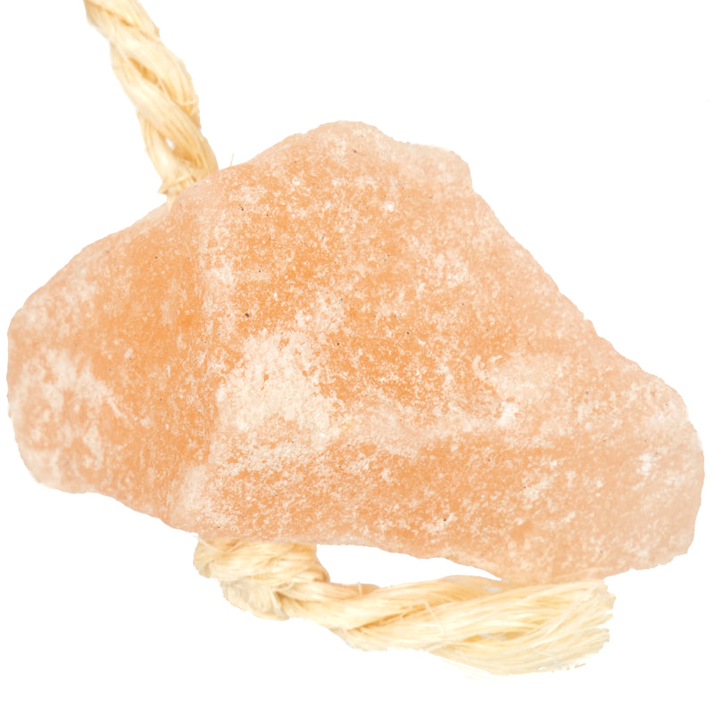 Ware Himilayan Salt on a Rope Chew Toy