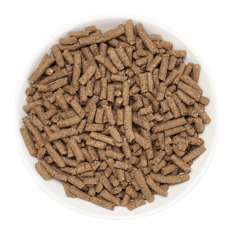 Marshall Premium Ferret Diet, 22 oz bag Dry