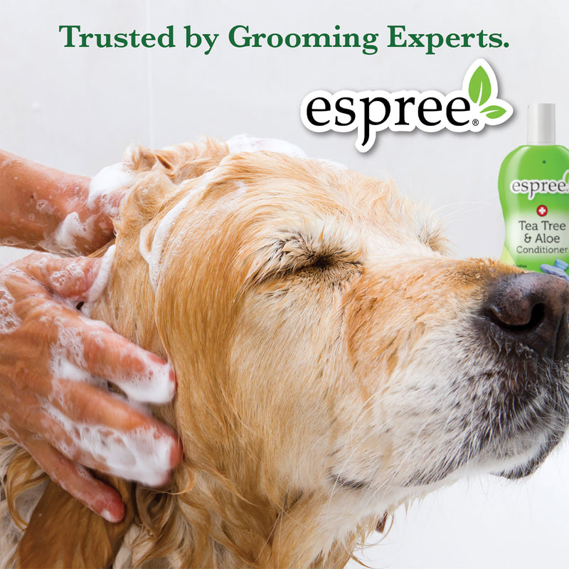 Espree Tea Tree & Aloe Shampoo For Dogs 20 Ounce