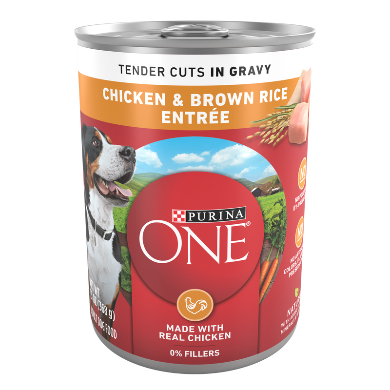 Purina ONE Tender Cuts in Wet Dog Food Gravy Chicken and Brown Rice Entree