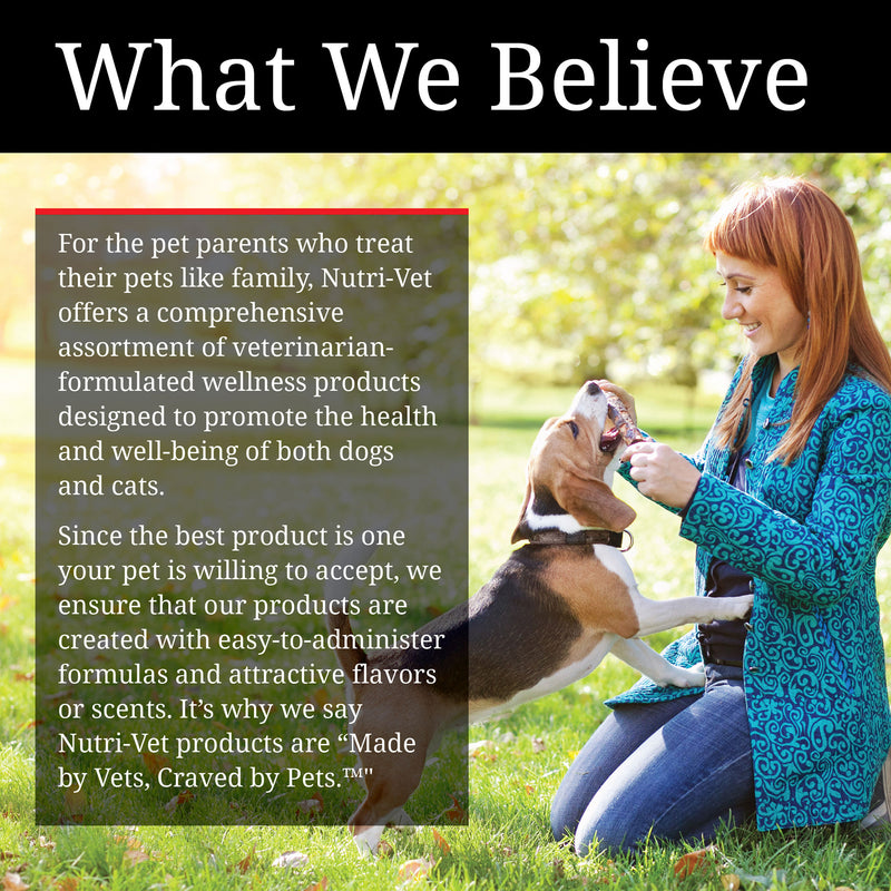 Nutri-Vet Hip & Joint Extra Strength Soft Chews 60 Count