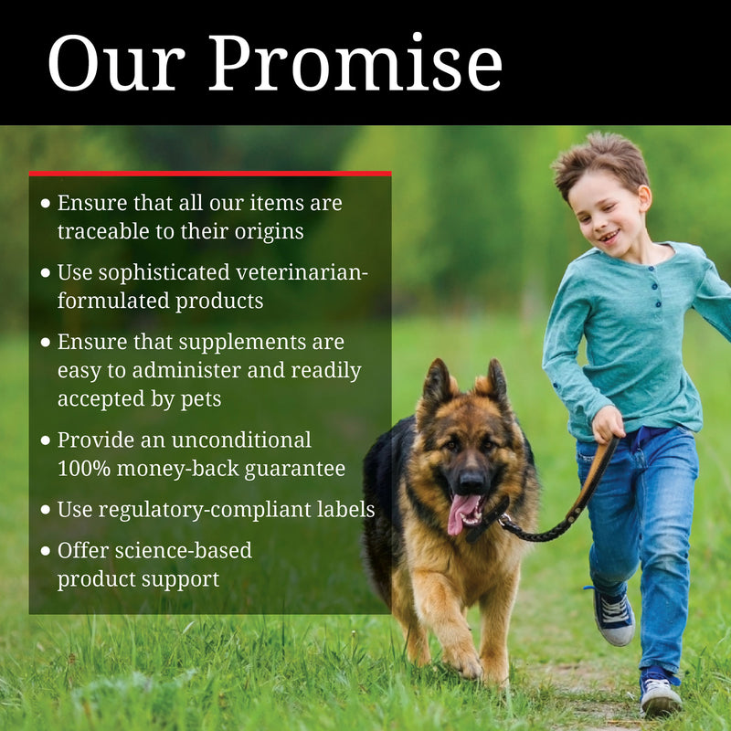 Nutri-Vet Hip & Joint Extra Strength Soft Chews 60 Count