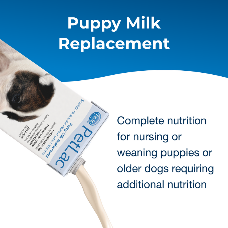 PetAg PetLac Liquid for Puppies, 32 oz.