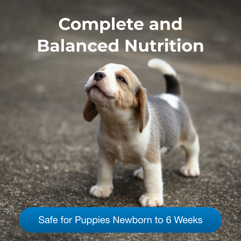 PetAg PetLac Liquid for Puppies, 32 oz.