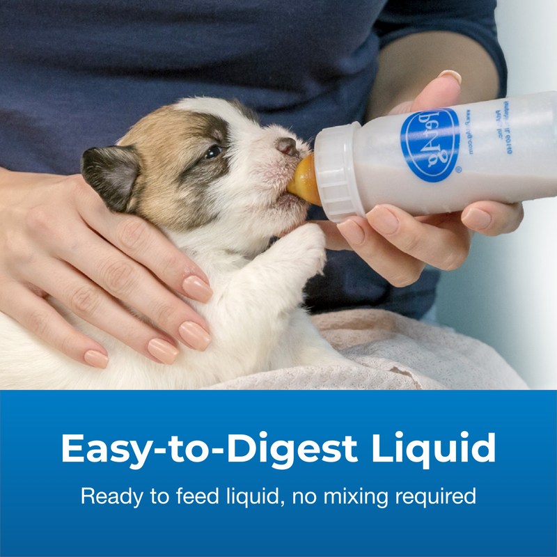 PetAg PetLac Liquid for Puppies, 32 oz.