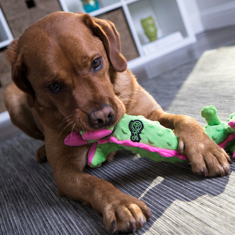 goDog Dragons Skinny Squeaky Plush Dog Toy, Chew Guard Technology, Green