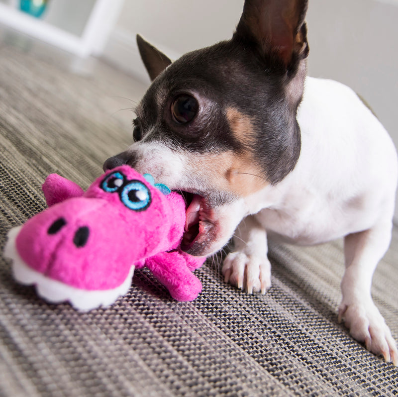 goDog Just For Me Gators Squeaky Plush Dog Toy, Chew Guard Technology, Pink, Mini