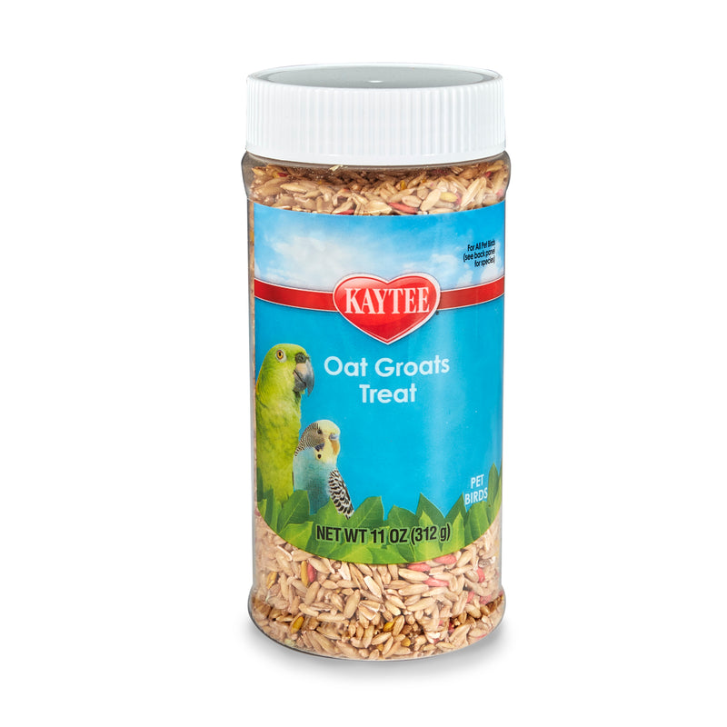 Kaytee Oat Groats Treat Jar- All Pet Birds 11 oz