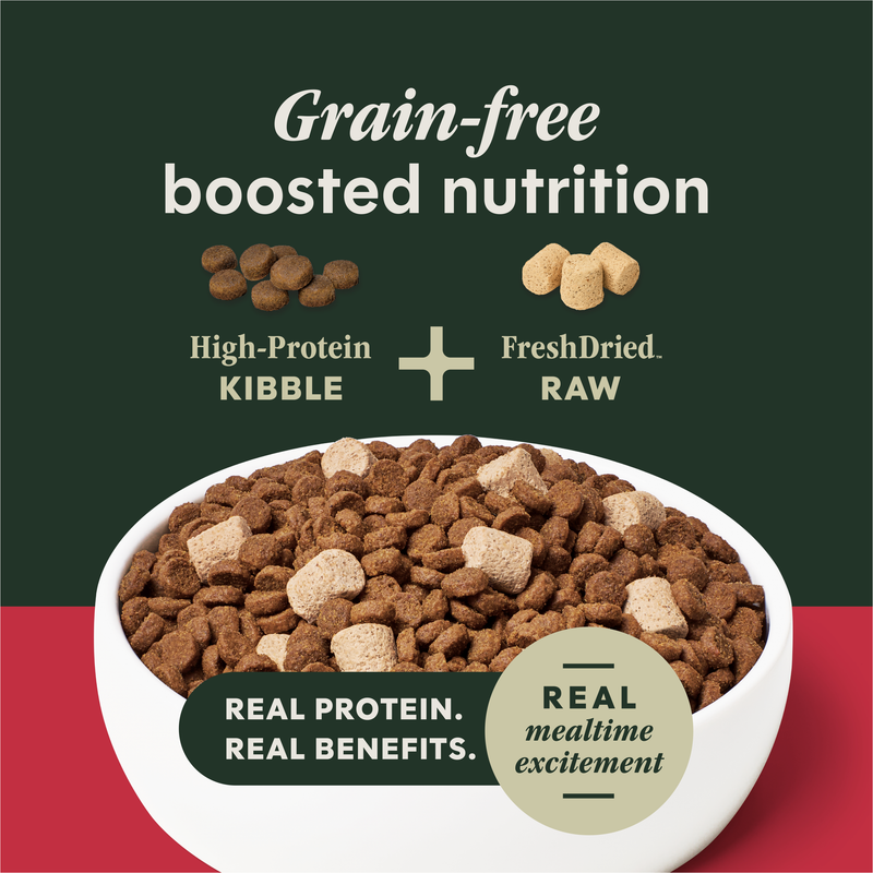 Instinct Raw Boost Grain Free Recipe with Real Beef Natural Dry Dog Food