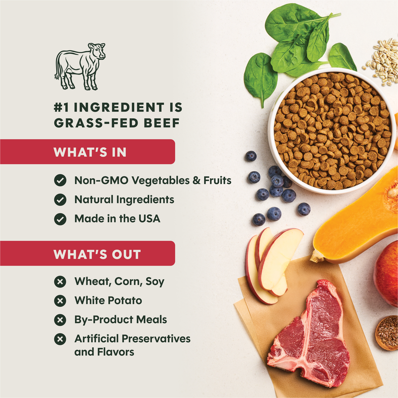 Instinct Be Natural Beef & Barley Recipe Dry Dog Food