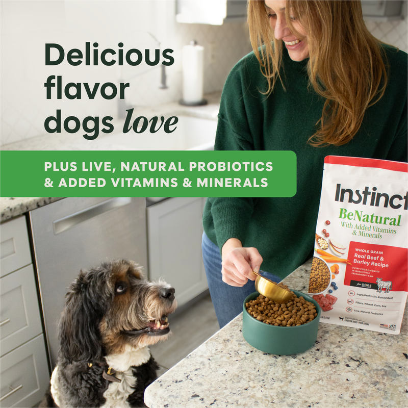 Instinct Be Natural Chicken & Brown Rice Recipe Dry Dog Food