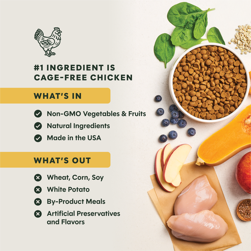 Instinct Be Natural Chicken & Brown Rice Recipe Dry Dog Food