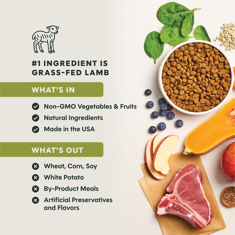 Instinct Be Natural Lamb & Oatmeal Recipe Dry Dog Food