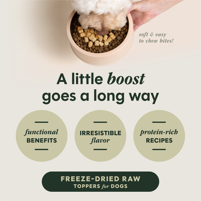 Instinct Grain Free Freeze Dried Raw Boost Mixers Mobility Support Recipe Dog Food Topper