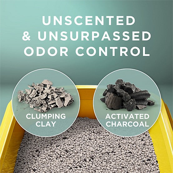 Purina Tidy Cats Free and Clean Unscented Clumping Clay Cat Litter, Multi-Cat