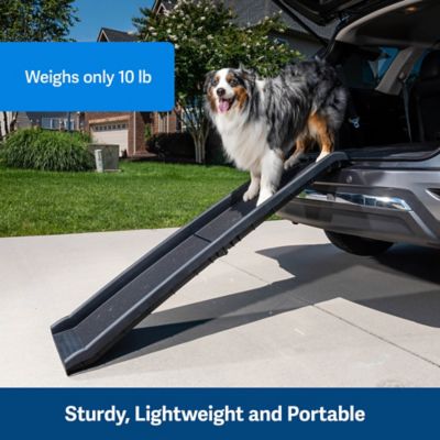 PetSafe Happy Ride Folding Dog Ramp for Dogs Up to 150 lb., 62 in.
