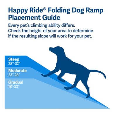 PetSafe Happy Ride Folding Dog Ramp for Dogs Up to 150 lb., 62 in.