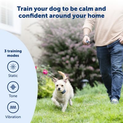 PetSafe 100 yd. Lite Remote Dog Training Collar, For Dogs 8 lb. or Larger, Neck Sizes 6 to 23 in.